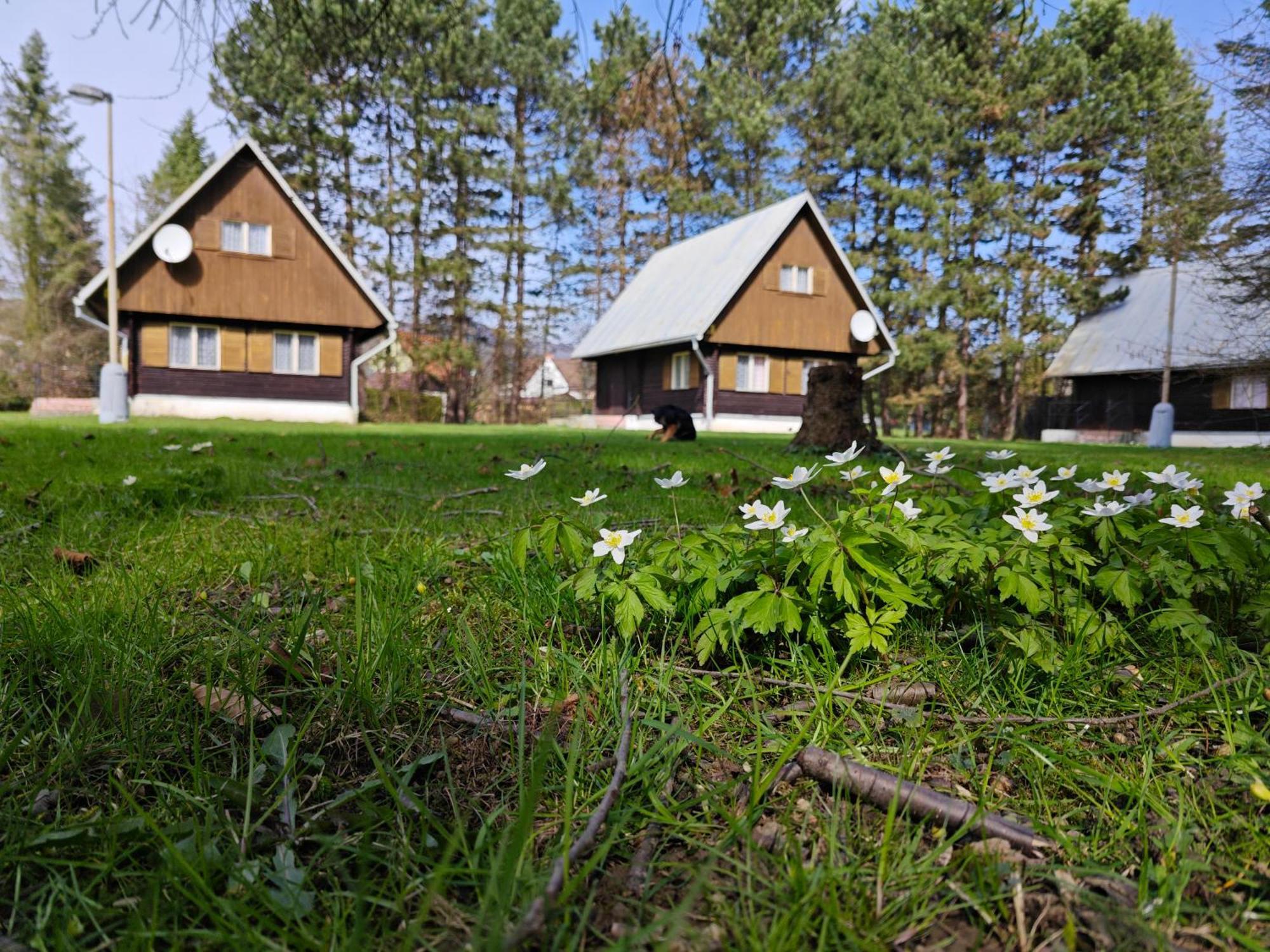 Bungalovy Roznov Vila Rožnov pod Radhoštěm Exterior foto